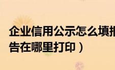企业信用公示怎么填报（企业信用信息公示报告在哪里打印）