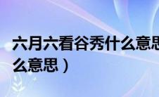 六月六看谷秀什么意思简单（六月六看谷秀什么意思）