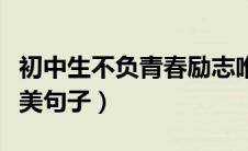 初中生不负青春励志唯美短句（不负韶华的唯美句子）