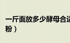 一斤面放多少酵母合适（一斤面粉放多少发酵粉）