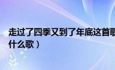 走过了四季又到了年底这首歌名（走过了四季又到了年底是什么歌）