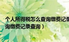 个人所得税怎么查询缴费记录查询当月（个人所得税怎么查询缴费记录查询）