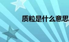 质粒是什么意思（质粒是什么）