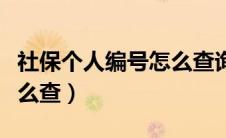 社保个人编号怎么查询系统（社保个人编号怎么查）