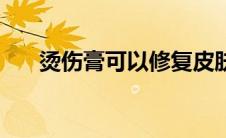 烫伤膏可以修复皮肤疤痕吗（烫伤膏）