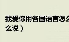 我爱你用各国语言怎么讲（我爱你各国语言怎么说）