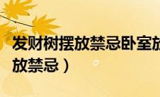 发财树摆放禁忌卧室放发财树好吗（发财树摆放禁忌）