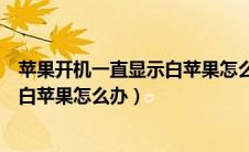 苹果开机一直显示白苹果怎么办12pro（苹果开机一直显示白苹果怎么办）