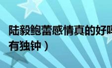 陆毅鲍蕾感情真的好吗（陆毅为什么对鲍蕾情有独钟）
