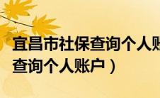 宜昌市社保查询个人账户怎么查（宜昌市社保查询个人账户）