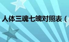 人体三魂七魄对照表（三魂七魄各代表什么）
