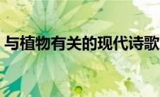 与植物有关的现代诗歌（与植物有关的诗歌）