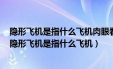 隐形飞机是指什么飞机肉眼看不见体积非常小雷达测不到（隐形飞机是指什么飞机）