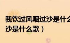 我饮过风咽过沙是什么歌曲啊（我饮过风咽过沙是什么歌）