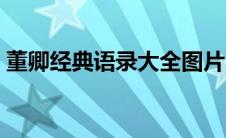 董卿经典语录大全图片（董卿经典语录大全）