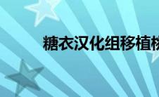 糖衣汉化组移植桃子移植（糖衣）