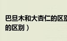巴旦木和大杏仁的区别是啥（巴旦木和大杏仁的区别）