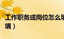 工作职务或岗位怎么填（工作岗位和职务怎么填）