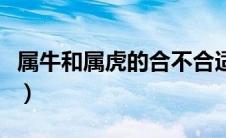 属牛和属虎的合不合适（属牛和属虎的合不合）