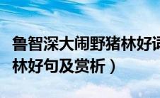 鲁智深大闹野猪林好词佳句（鲁智深大闹野猪林好句及赏析）