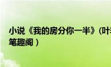 小说《我的房分你一半》(叶非夜)（我的房分你一半叶非夜笔趣阁）