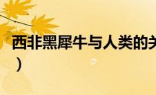 西非黑犀牛与人类的关系是什么（西非黑犀牛）