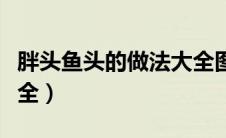 胖头鱼头的做法大全图片（胖头鱼头的做法大全）