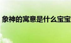 象神的寓意是什么宝宝（象神的寓意是什么）
