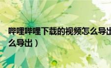 哔哩哔哩下载的视频怎么导出音轨（哔哩哔哩下载的视频怎么导出）