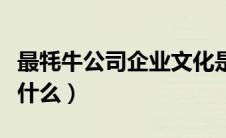 最牦牛公司企业文化是什么（公司企业文化是什么）