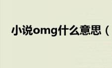 小说omg什么意思（小说oe是什么意思）