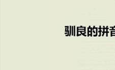 驯良的拼音（驯良）