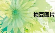 梅豆图片（梅豆）