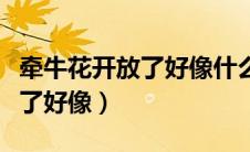 牵牛花开放了好像什么什么造句（牵牛花开放了好像）