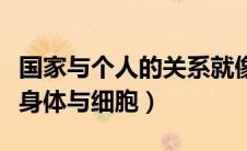 国家与个人的关系就像（国家与个人的关系像身体与细胞）
