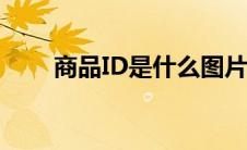 商品ID是什么图片（商品id是什么）