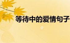 等待中的爱情句子（等待中的爱情）