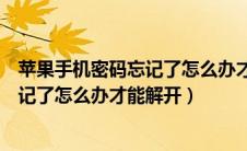 苹果手机密码忘记了怎么办才能解开视频（苹果手机密码忘记了怎么办才能解开）