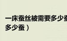 一床蚕丝被需要多少蚕宝宝（一床蚕丝被需要多少蚕）