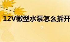 12V微型水泵怎么拆开维修（12v微型水泵）