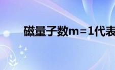 磁量子数m=1代表什么（磁量子数）