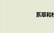 系草和校草txt