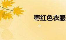 枣红色衣服（枣红色）