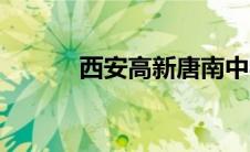 西安高新唐南中学（唐南中学）