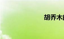胡乔木的无耻