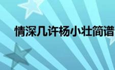 情深几许杨小壮简谱（情深几许杨小壮）