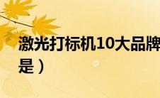 激光打标机10大品牌（激光打标机十大品牌是）