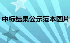 中标结果公示范本图片（中标结果公示范本）