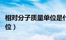 相对分子质量单位是什么（相对分子质量的单位）
