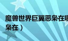 魔兽世界巨翼恶枭在哪里刷（魔兽世界巨翼恶枭在）